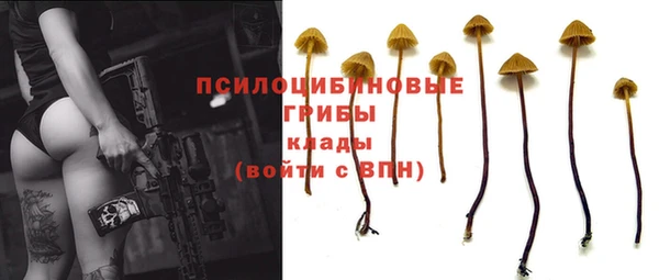 мескалин Нязепетровск