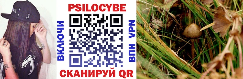 Купить  Волжский  Псилоцибиновые грибы GOLDEN TEACHER 